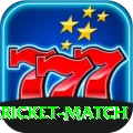 all cricket match Deluxe Pro v4.7.1