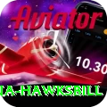 antigua hawksbill Turbo v3.4.7