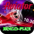 bingo Max Pro v5.3.2