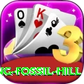 chhusang fossil hill Apps (Tools & Injectors) Pro v4.1.6
