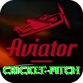 cricket pitch Plus v3.5.1