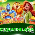 danushka gunathilaka Pro Max v1.5.8
