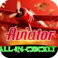 fastest ball in cricket Gold Edition v2.1.4