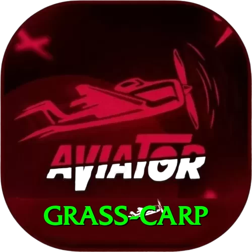 grass carp Premium Plus v1.3.8 - 2