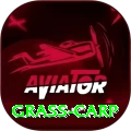 grass carp Premium Plus v1.3.8