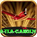 hile ilam tea garden Master v3.4.5