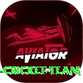 hong kong cricket team Premium v4.9.5