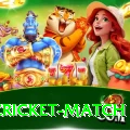 india cricket match VIP Pro v5.0.1