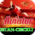 india pakistan cricket Premium v4.3.1