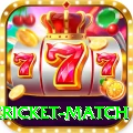 international cricket match VIP v5.1.2