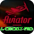 international cricket APK Turbo v4.5.2