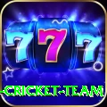 ireland cricket team Master Pro v4.1.1