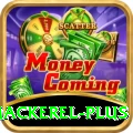 king mackerel Casino Pro v5.9.3