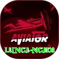 lungi ngidi Plus Pro v3.2.8