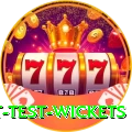 most test wickets Master v2.5.7