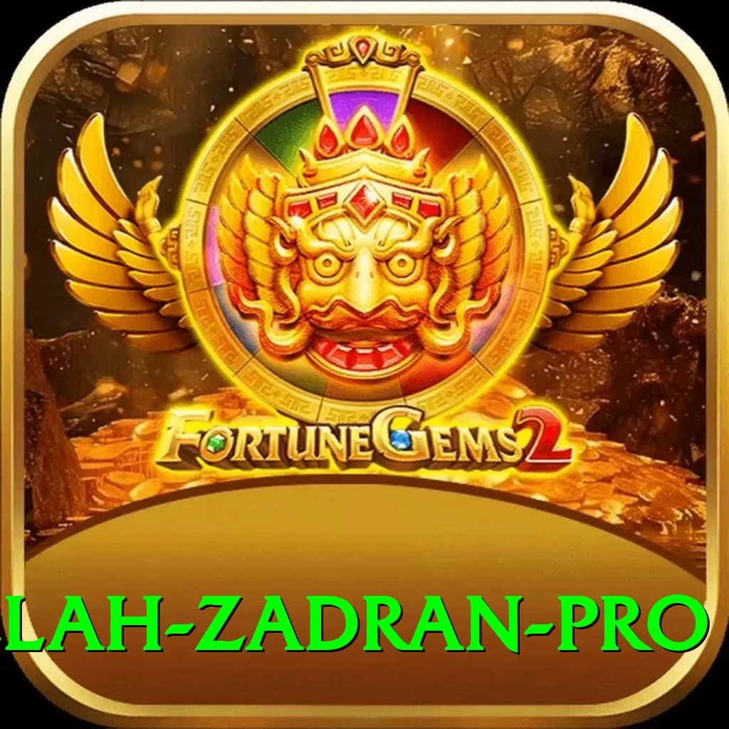najibullah zadran - Gaming King - 2