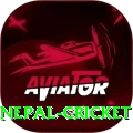 nepal cricket Pro Edition v5.0.1