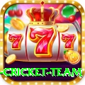 new zealand cricket team Pro1 v4.0.8