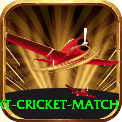 next cricket match Deluxe v5.7.2 - 2