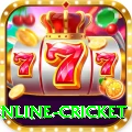 online cricket Pro Edition v4.7.2