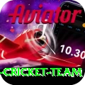 pakistan women cricket team Apps (Tools & Injectors) Deluxe v4.5.1