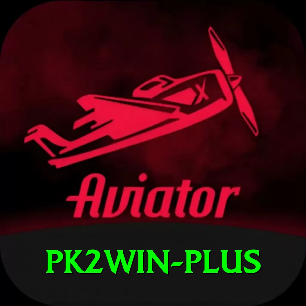 pk2win Pro Max v4.2.1 - 2