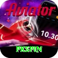 pkspin Turbo Pro vv5.4.9