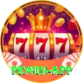 pkwin Plus Edition v5.8.1