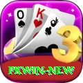 pkwin Gold Pro vv1.4.6