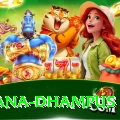 pothana dhampus Pro1 v2.4.8