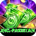 responsible gambling pakistan Elite Pro v5.7.8