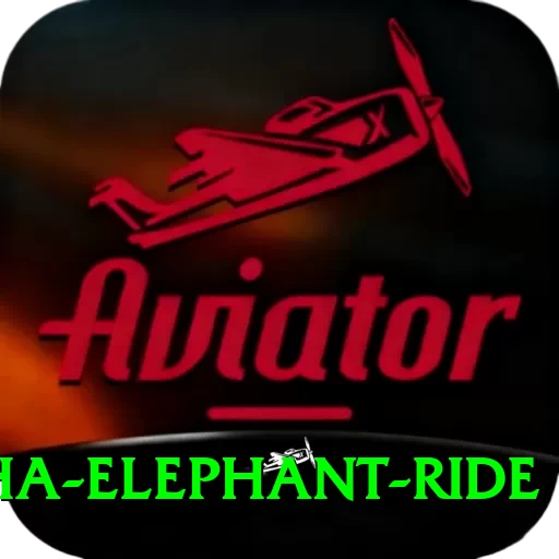 sauraha elephant ride Max v3.1.2 - 2