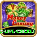 smartcric live cricket Turbo v4.4.3