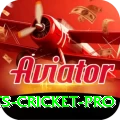 sports cricket Gold - Free Download
