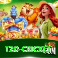 t20 cricket