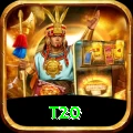 t20 Pro v4.1.5