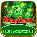test cricket Plus Pro v1.3.6