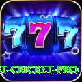 test cricket King Gaming App