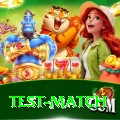 test match Plus v2.8.2