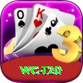wc t20 Premium Plus v1.3.1