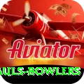 wicket hauls bowlers VIP v2.4.6