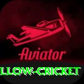 willow cricket Gold Edition v1.4.2