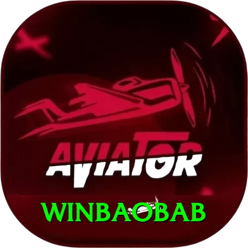 winbaobab Pro Edition v5.0.0 - 2