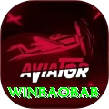 winbaobab Pro Edition v5.0.0